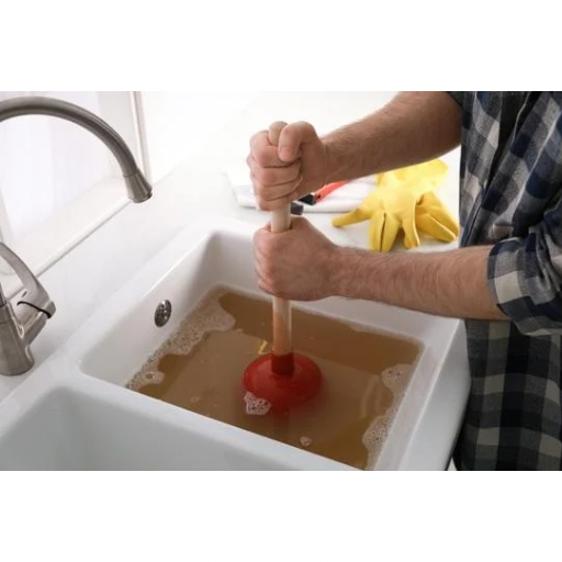 Homeowner plunging sink - General Plumbing
