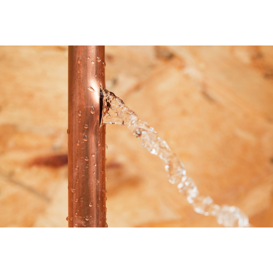 Compromised Water Line - General Plumbing